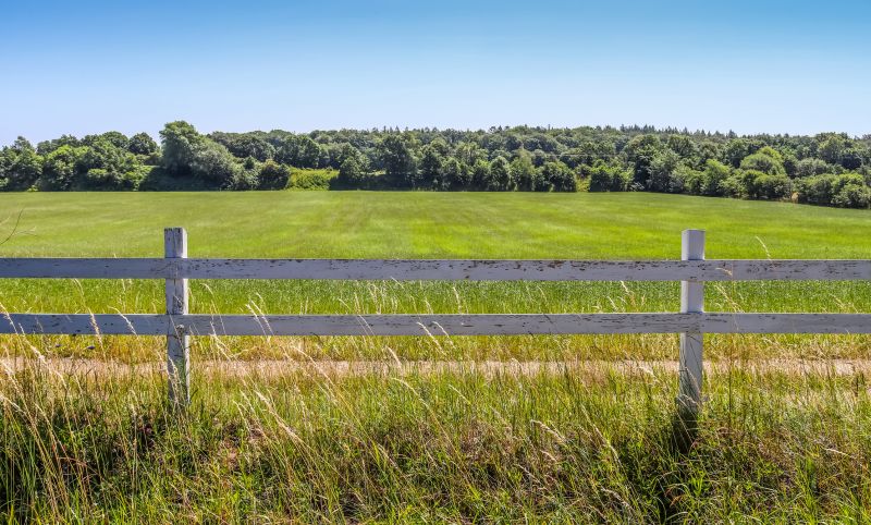 Best Fence Repair Contractors in Castle Rock, CO